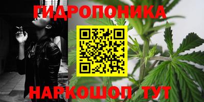 дурь Дубна