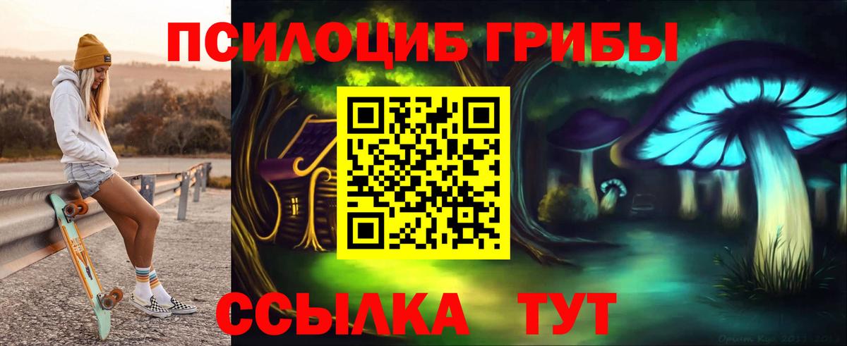 Псилоцибиновые грибы мухоморы Карачаевск